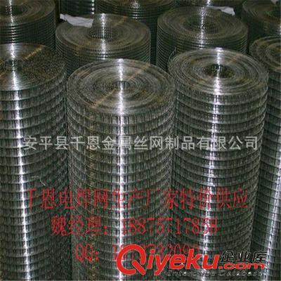 【誠信廠家供應】大絲電焊網(wǎng) 圈玉米的網(wǎng) 通風透氣-安平縣千恩金屬絲網(wǎng)制品提供【誠信廠家供應】大絲電焊網(wǎng) 圈玉米的網(wǎng) 通風透氣的相關介紹、產(chǎn)品、服務、圖片、價格安平縣千恩金屬絲網(wǎng)制品、護欄網(wǎng);鋼格板;鋼板網(wǎng);石籠網(wǎng);荷蘭網(wǎng);美格網(wǎng);沖孔網(wǎng);隔離柵;塑料網(wǎng);不銹鋼網(wǎng);防風抑塵網(wǎng);聲屏障;刀片刺繩;過濾網(wǎng);電焊網(wǎng);土工格柵;金剛網(wǎng);軋花網(wǎng);勾花網(wǎng);防護網(wǎng)